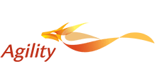 Agility Defense & Government Services